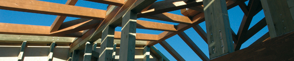 Architettura soffitto case in legno